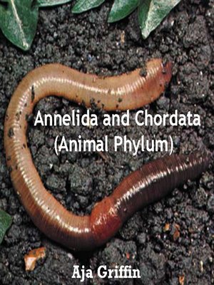 cover image of Annelida and Chordata